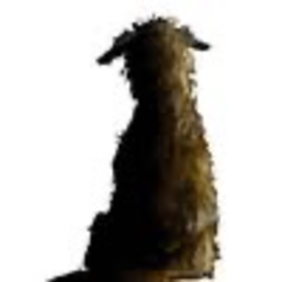Meet your Posher, Dot - Picture 1 of 1